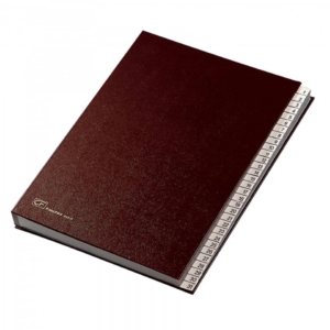 Classificatore numerico 1-31 Fraschini - Blu - 643-E