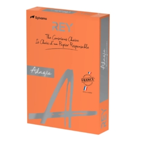 Cartoncini colorati A4 Arancio INTERNATIONAL PAPER Rey Adagio 160g/m² (risma 250 fogli)