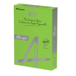 Cartoncini colorati A4 Verde intenso INTERNATIONAL PAPER Rey Adagio 160g/m² (risma 250 fogli)