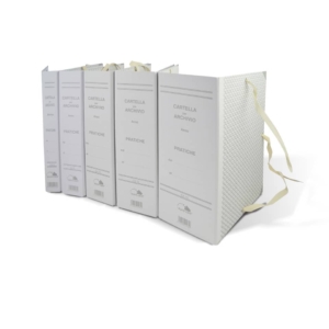 Faldone rivestiti in carta Euro-Cart - Dorso 5 cm - 25x35 cm