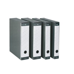 Raccoglitore ufficio Esselte Delsoline - registratore protocollo - Dorso 8 cm - 23x33 cm - Bianco/Grigio - 390715060