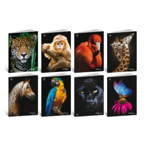 Maxi quaderni Blasetti Animali A4 18+1 fogli carta 100 g/m² - rigatura Q - 9295 (conf.10)