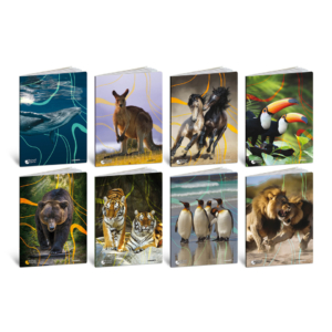 Maxi quaderni Blasetti Animali formato A4 carta 80g/m² - 20+1 fogli - rigatura 5 mm - 8579 (conf.10)