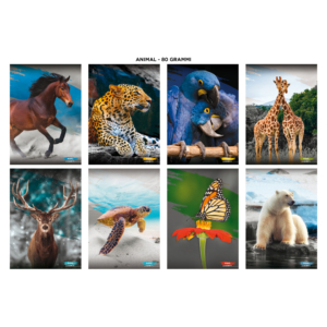 Maxi quaderni Blasetti Animali formato A4 carta 100g/m² - 18+1 fogli - rigatura 10 mm - 8631 (conf.10)