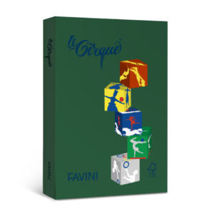Carta colorata Favini Le Cirque A4 160 g/m² verde bosco 304 - risma da 250 fogli - A74D334