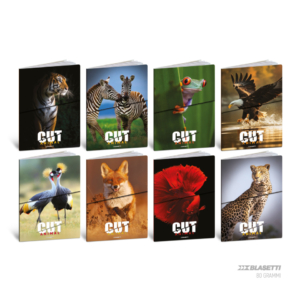 Maxi quaderni Blasetti Animali formato A4 carta 80g/m² - 20+1 fogli - rigatura 1R - 8581 (conf.10)