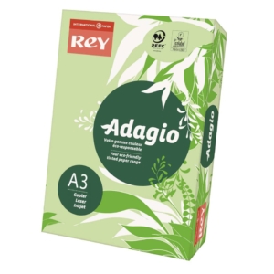 Cartoncini colorati A3 Verdi INTERNATIONAL PAPER Rey Adagio - 160g/m² - 29,7x42 cm (risma 250 fogli)